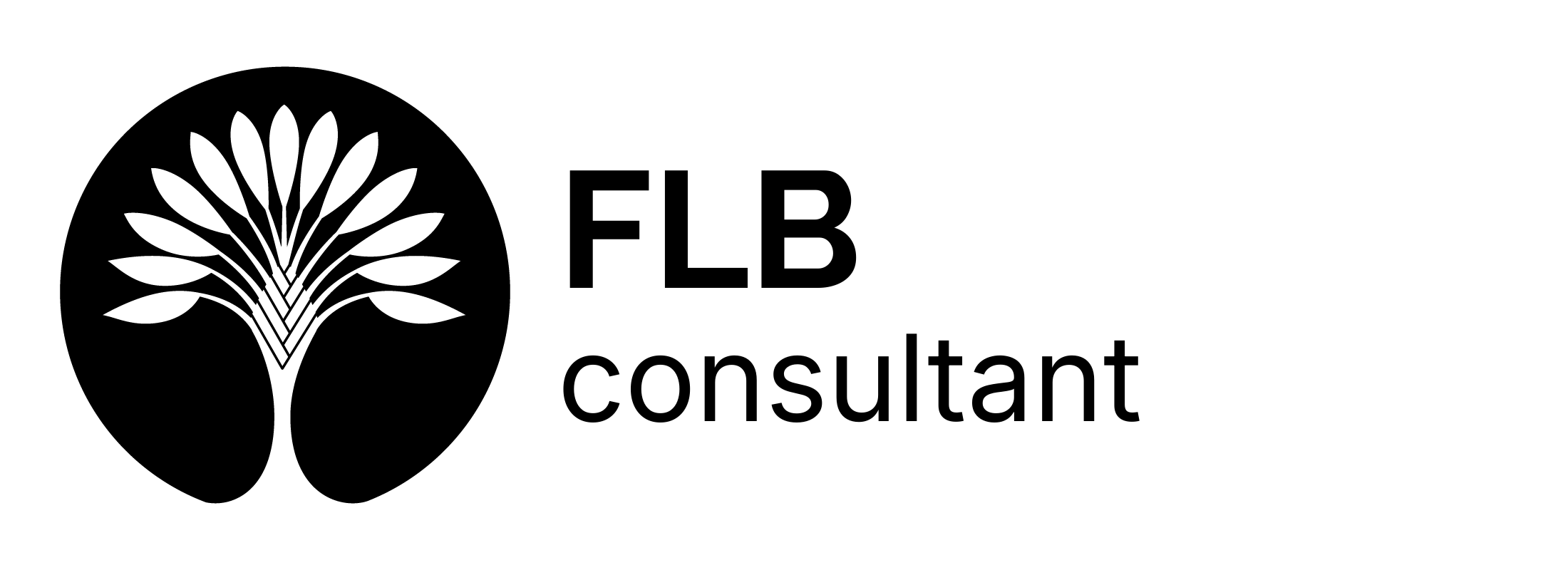 Logo FLB Consultant
